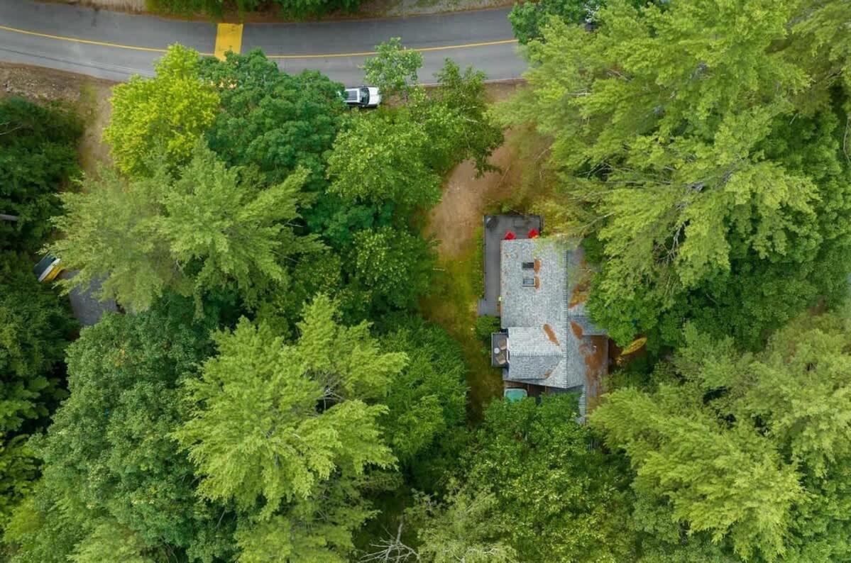 Sun-Dappled Suissevale Cape Close To Lake & Beach Villa Center Harbor Exterior photo